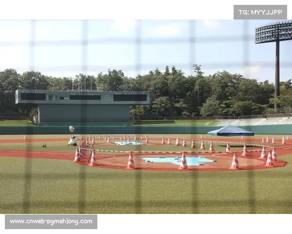 日本球场安全事故目视检查常规不足导致隐患未被及时发现的问题分析 日本球场安全事故目视检查常规不足导致隐患未被及时发现的问题分析