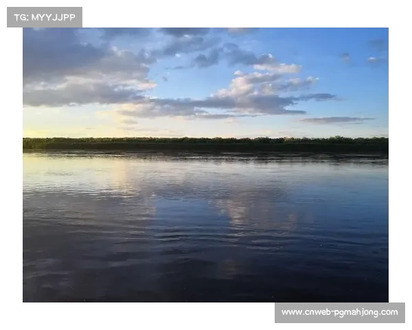 日本羽协谈15分制改革：对各项目利弊不一，或对耐力型选手构成挑战